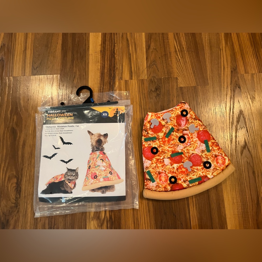 Vibrant Halloween Pizza Costume for Pets